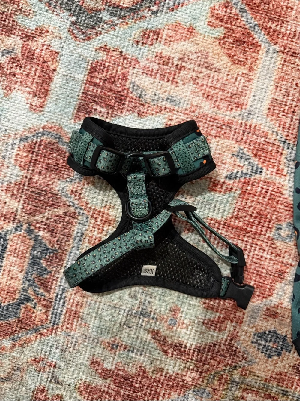 COCOPUP Teal Leopard Dog Harness & Bandana Set